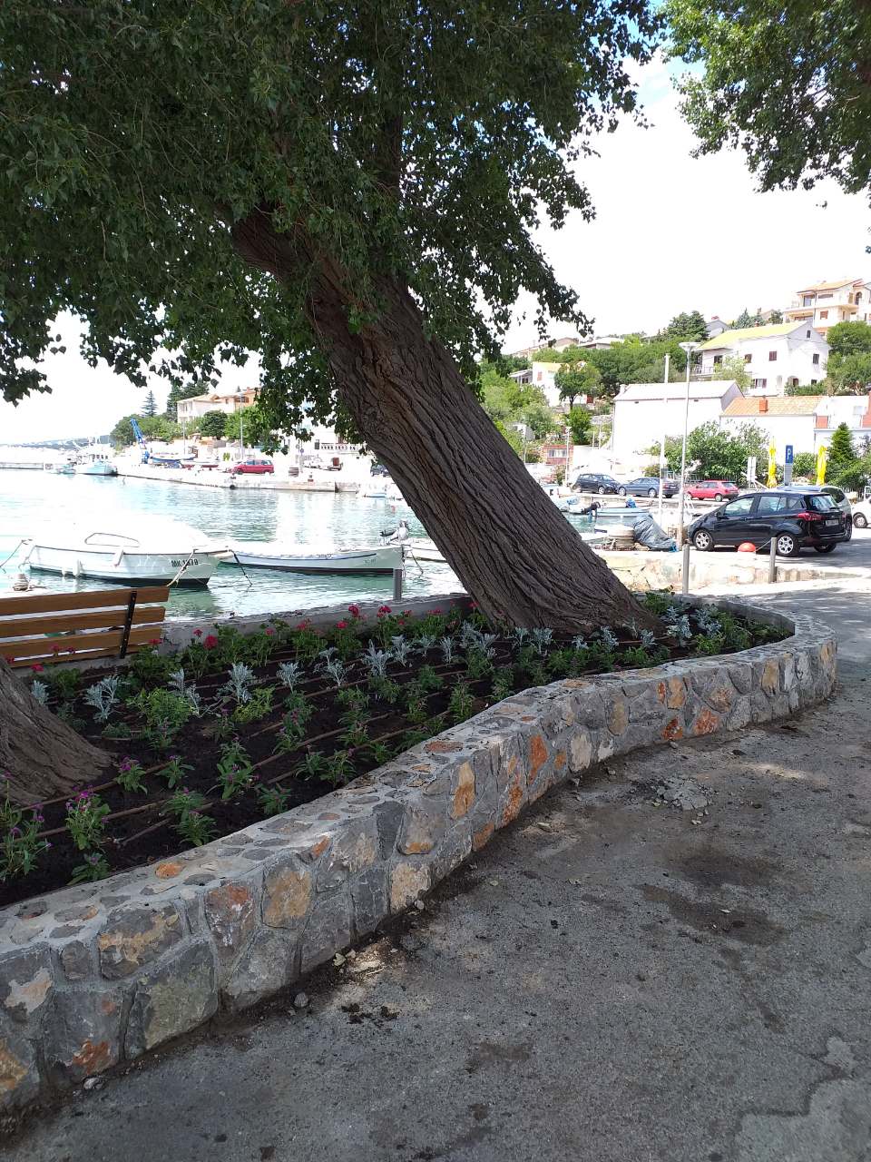 Klenovica – nova cvjetna gredica 2019.