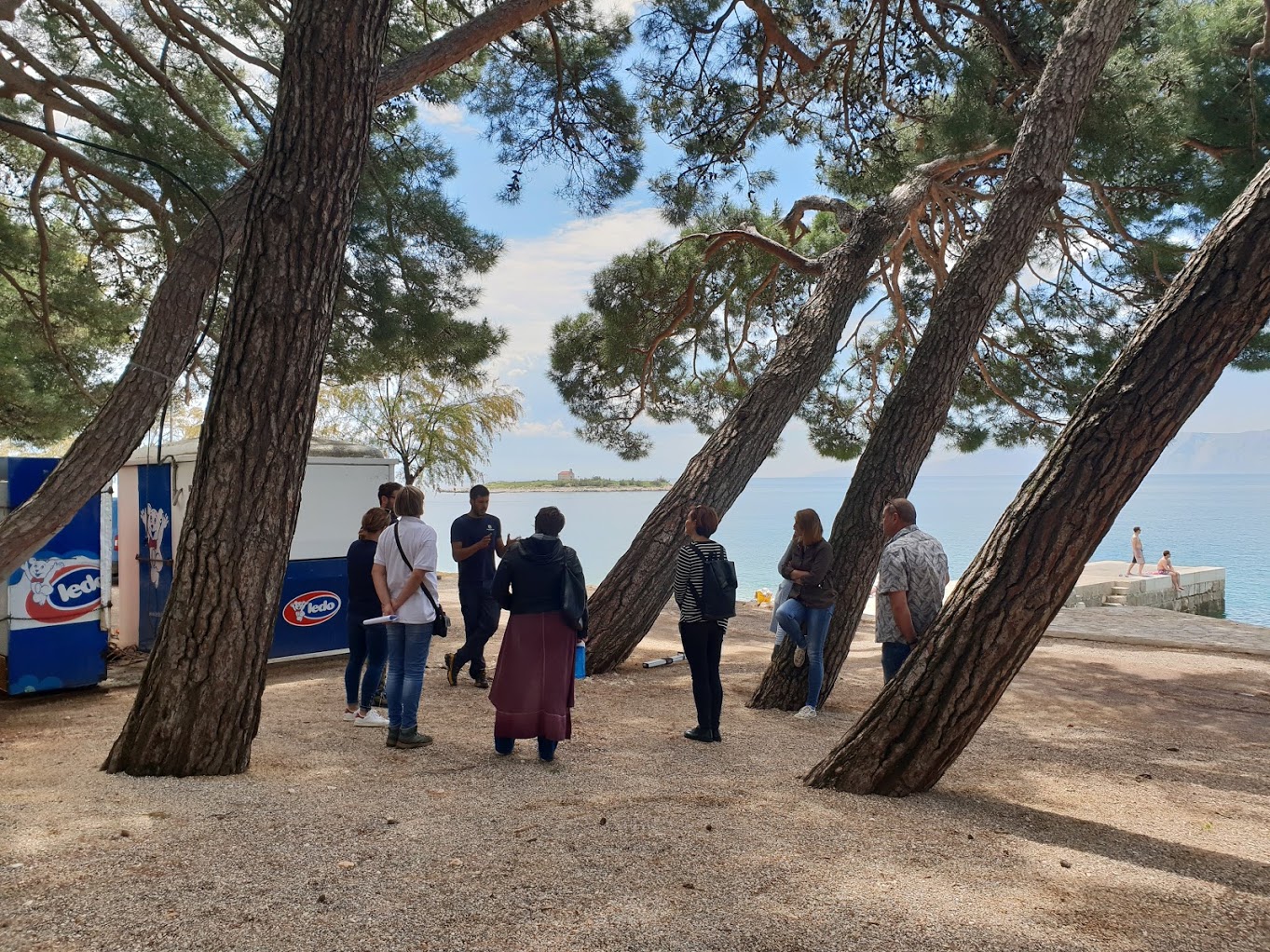 Ispitivanje statike i zdravstvenog stanja stabla alepskog bora