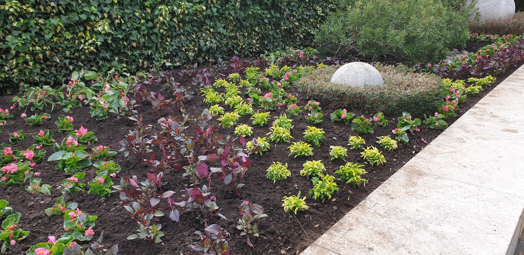 Sadnja sezonskog cvijeća u proljeće 2020.