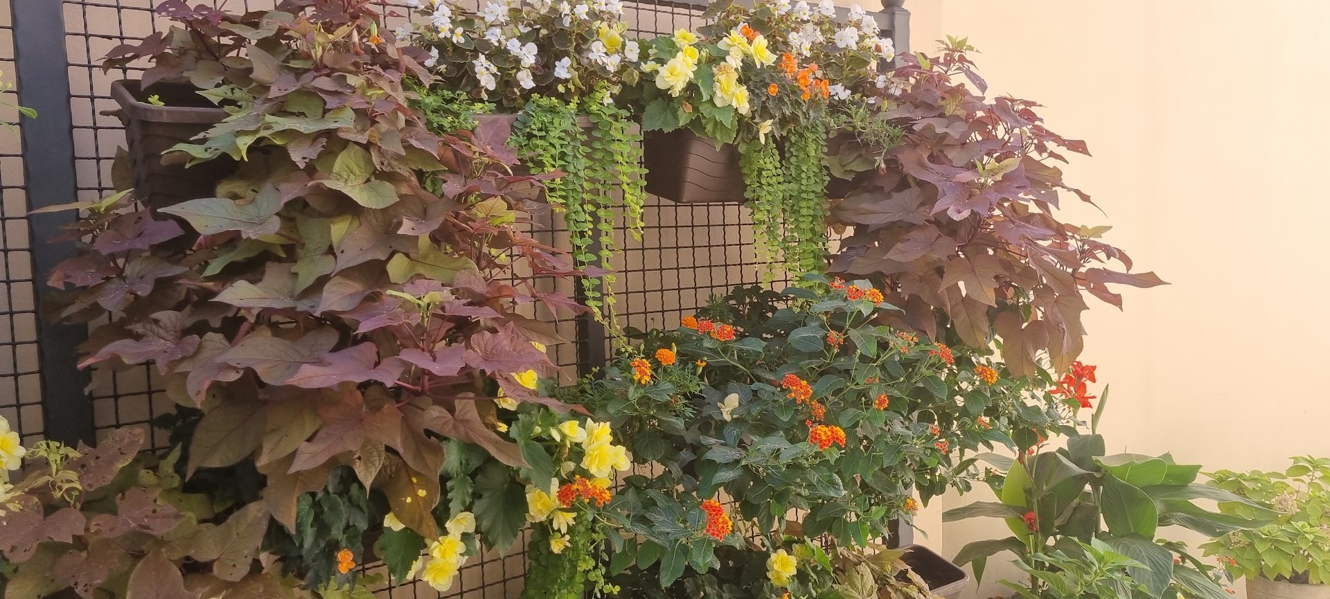 Okolotorno 2022. – cvjetna ulica