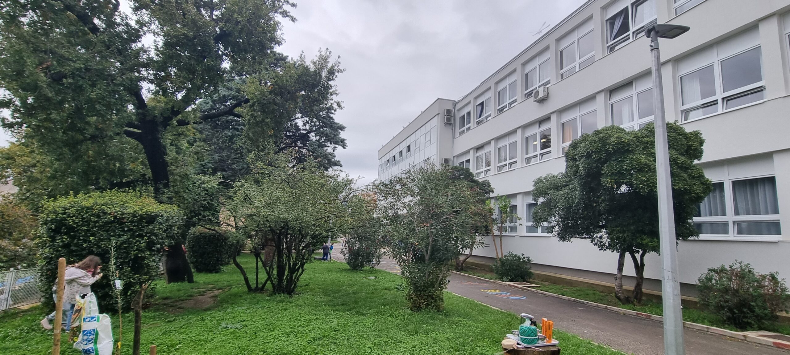 Međunarodni dan tolerancije