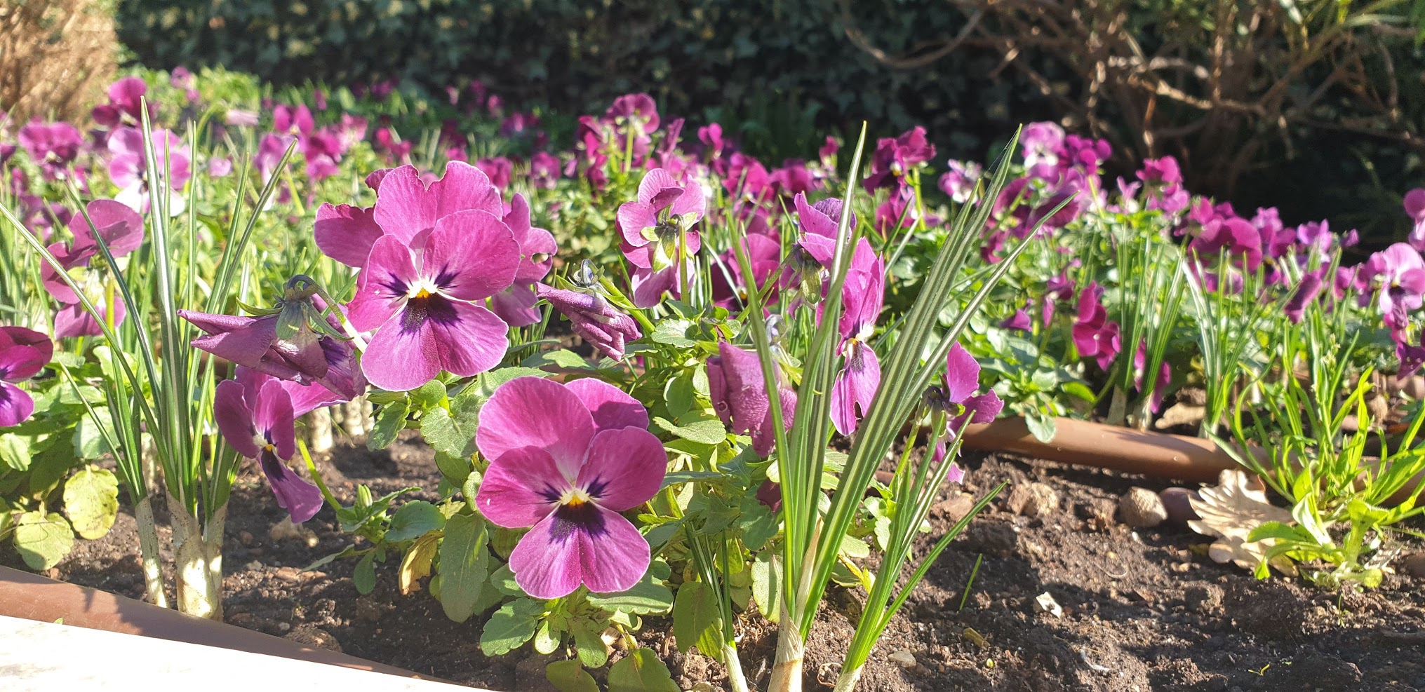 Korzo hrvatskih branitelja proljeće 2020.