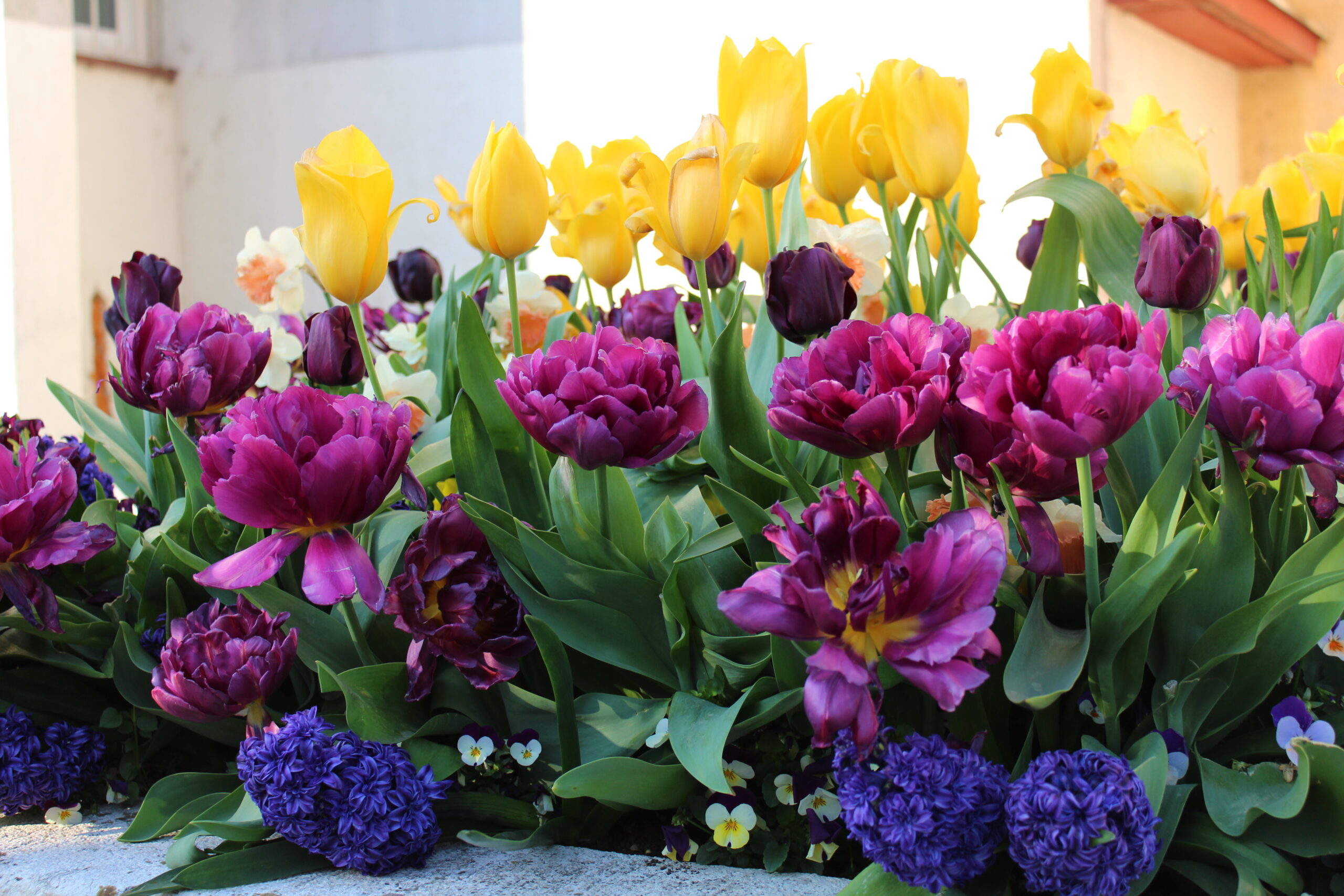 Boje proljeća 2020.