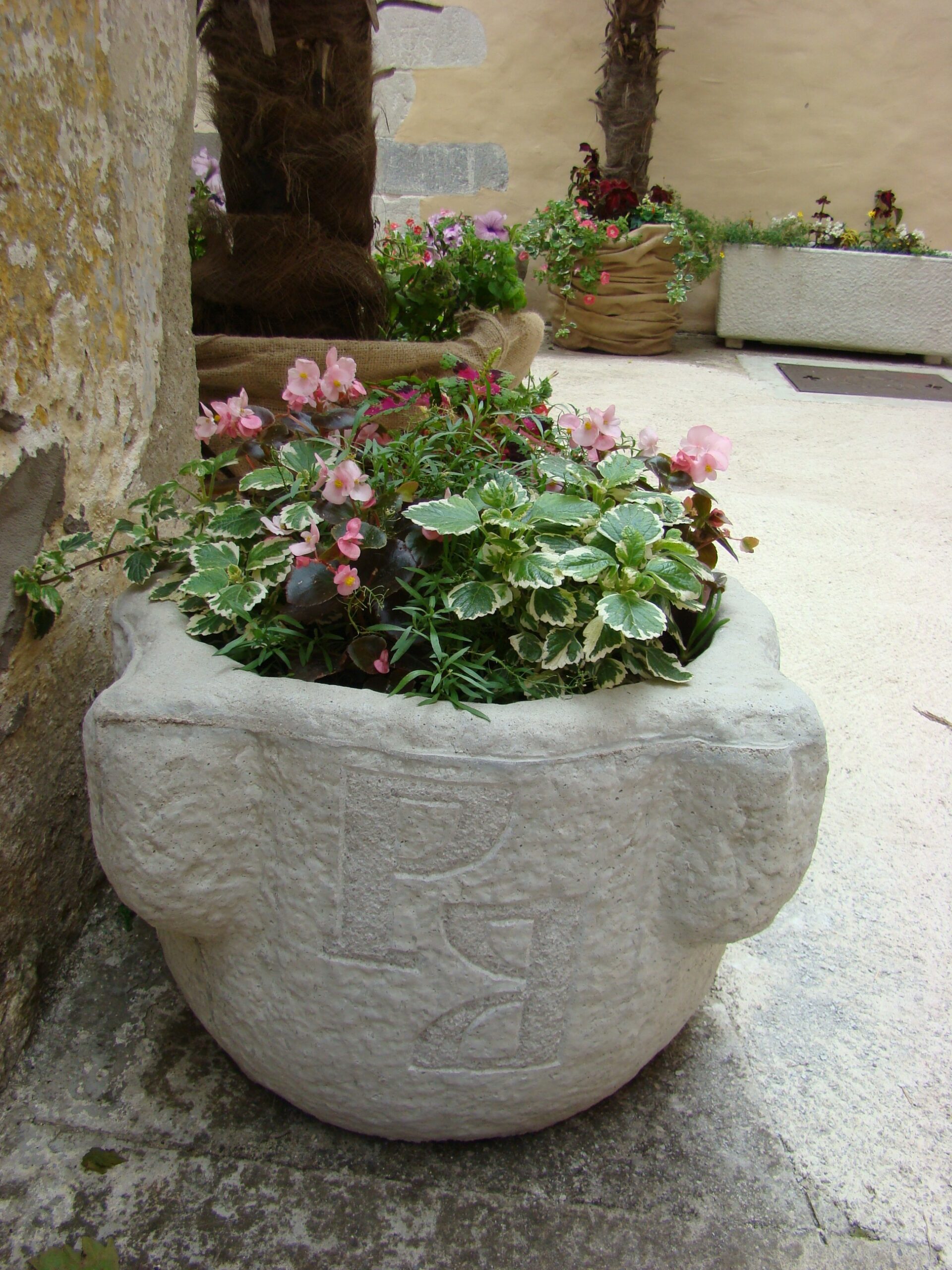 Cvjetni kutak – Okolotorno 2015.